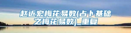 赵近宏梅花易数(占卜基础之梅花易数)_重复