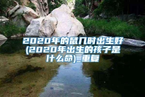 2020年的鼠几时出生好(2020年出生的孩子是什么命)_重复