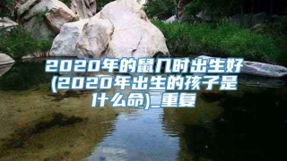 2020年的鼠几时出生好(2020年出生的孩子是什么命)_重复