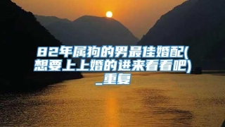 82年属狗的男最佳婚配(想要上上婚的进来看看吧)_重复