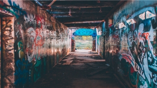 65年出生生肖适宜婚配(今年65岁属什么生肖)_重复