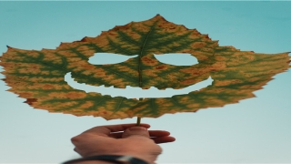 带诗意的游戏名字(诗意门派名字)