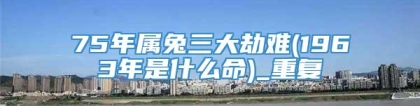 75年属兔三大劫难(1963年是什么命)_重复