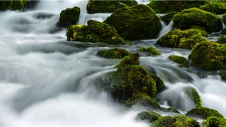 背后长痣代表什么图解(阳明道长口述)