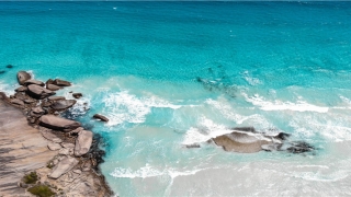 2021年女人梦见蛇预示着什么(2021年属蛇女人的命运)_重复