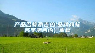 产品名称测吉凶(品牌商标名字测吉凶)_重复