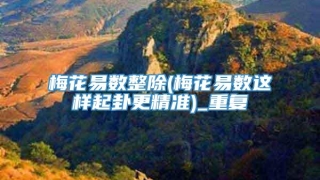 梅花易数整除(梅花易数这样起卦更精准)_重复