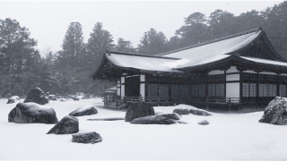 八种招财旺运的风水摆件(招财风水摆件及摆放位置)