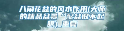 八角花盆的风水作用(大师的精品盆景“配盆很不起眼)_重复