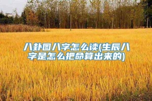 八卦图八字怎么读(生辰八字是怎么把命算出来的)