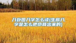 八卦图八字怎么读(生辰八字是怎么把命算出来的)