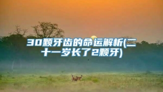 30颗牙齿的命运解析(二十一岁长了2颗牙)