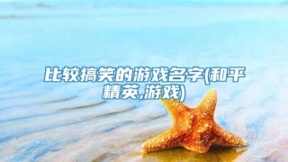 比较搞笑的游戏名字(和平精英,游戏)