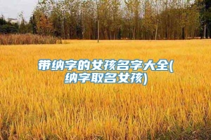 带纳字的女孩名字大全(纳字取名女孩)