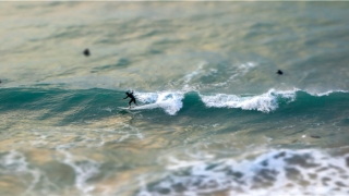 避之不及是什么意思(避之而无不及)