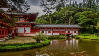 84年5月生肖鼠命运如何(今年84岁属什么生肖)