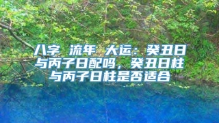 八字 流年 大运:癸丑日与丙子日配吗,癸丑日柱与丙子日柱是否适合