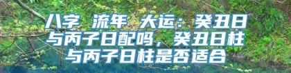 八字 流年 大运：癸丑日与丙子日配吗，癸丑日柱与丙子日柱是否适合