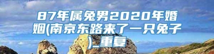 87年属兔男2020年婚姻(南京东路来了一只兔子)_重复