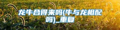 龙牛合得来吗(牛与龙相配吗)_重复