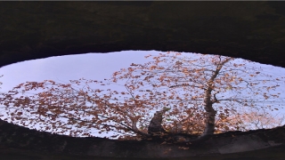 9月9日出生的人很可怕(沈腾年轻时的图片和杨洋)