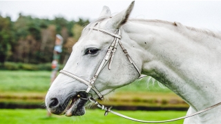 柴姓名字大全(全市失信人名字)