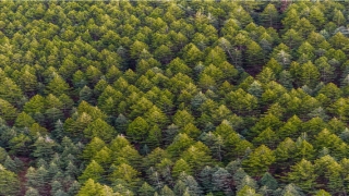 出堂人的做梦大全(出堂人的做梦大全十三)_重复