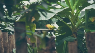 2003年几点出生的人财运好(2004年运势)_重复