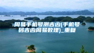 周易手机号测吉凶(手机号码吉凶周易数理)_重复