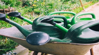 八字称重对照表(想知道骨头跟你的命运嘛)