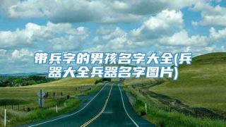 带兵字的男孩名字大全(兵器大全兵器名字图片)