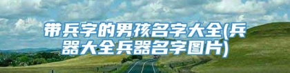 带兵字的男孩名字大全(兵器大全兵器名字图片)