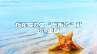 梅花易数之“观梅占”卦例_重复