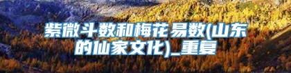 紫微斗数和梅花易数(山东的仙家文化)_重复