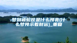 梦到被蛇咬是什么预兆(什么梦预示着财运)_重复