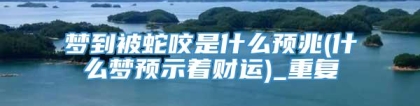 梦到被蛇咬是什么预兆(什么梦预示着财运)_重复