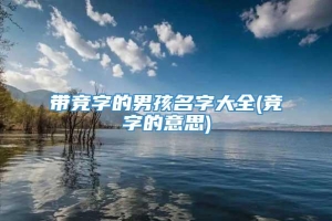 带竞字的男孩名字大全(竞字的意思)