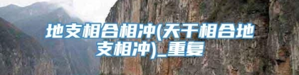 地支相合相冲(天干相合地支相冲)_重复