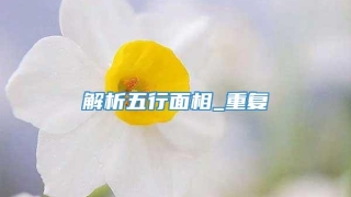 解析五行面相_重复