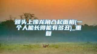 额头上像龙角凸起面相(一个人能长得能有多丑)_重复
