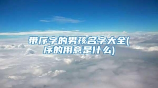 带序字的男孩名字大全(序的用意是什么)