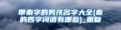 带秦字的男孩名字大全(秦的四字词语有哪些)_重复