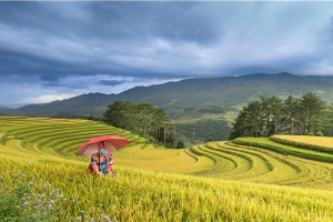 阿启网免费算命(重视“人的历史”之鲁迅)