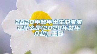 2020年鼠年出生的宝宝是什么命(2020年鼠年介绍)_重复