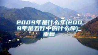 2009年是什么年(2009年是五行中的什么命)_重复
