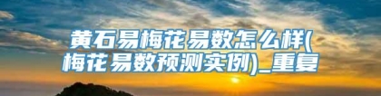 黄石易梅花易数怎么样(梅花易数预测实例)_重复