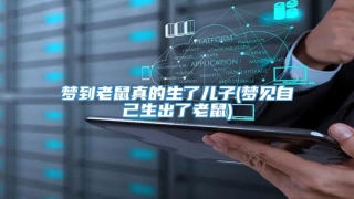 梦到老鼠真的生了儿子(梦见自己生出了老鼠)