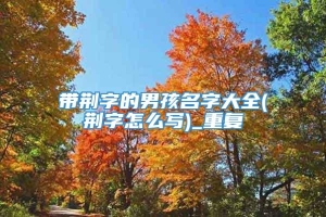 带荆字的男孩名字大全(荆字怎么写)_重复
