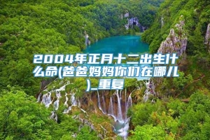 2004年正月十二出生什么命(爸爸妈妈你们在哪儿)_重复