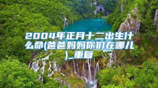 2004年正月十二出生什么命(爸爸妈妈你们在哪儿)_重复